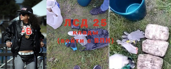 прущие крисы Алзамай