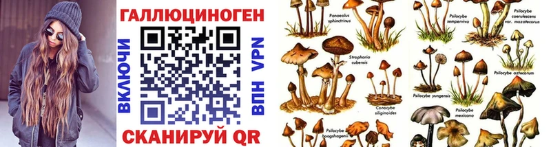 Галлюциногенные грибы Psilocybe  продажа наркотиков  Далматово 